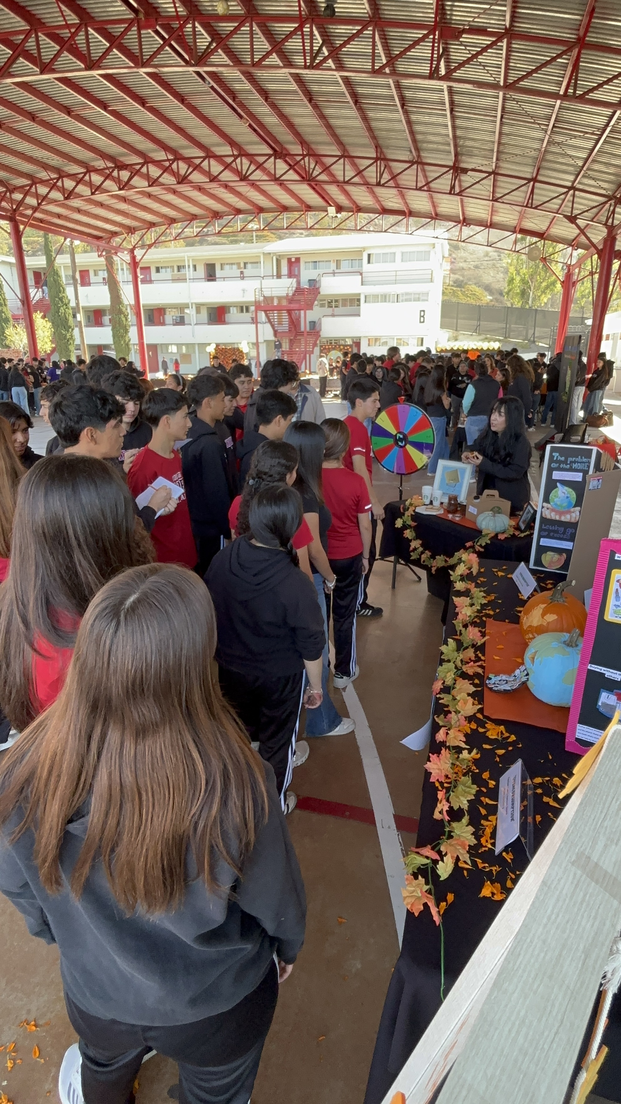 Actividad de Idiomas 6